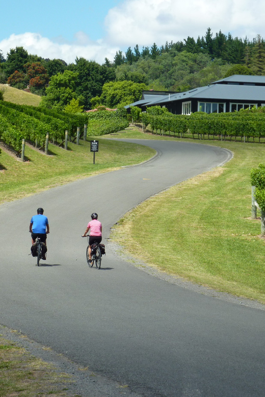 Napier: Cape Coast Winery Tour on Pedal or E-Bikes - Practical Details and Tips