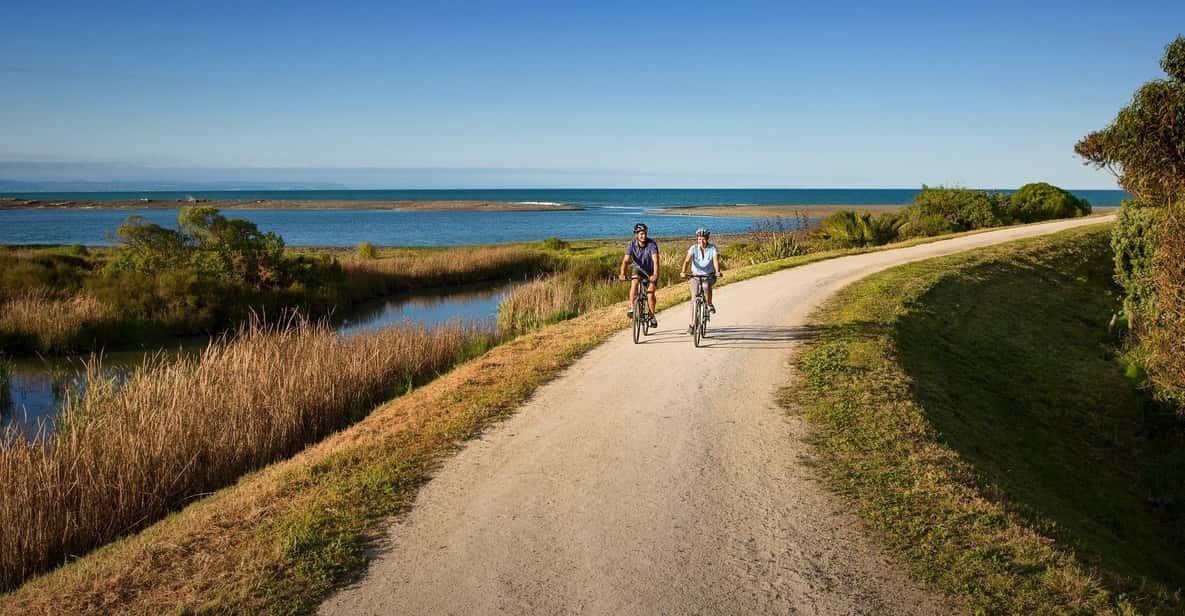 Napier: Cape Coast Winery Tour on Pedal or E-Bikes - In-Depth Look at the Hawke’s Bay Winery Bike Tour