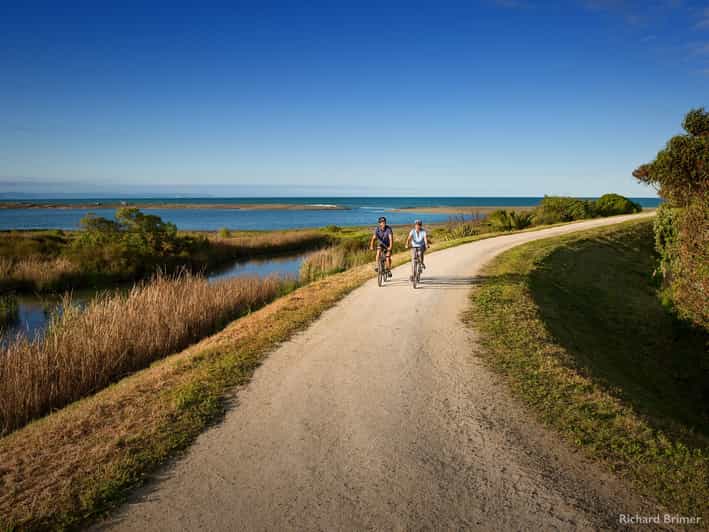 Napier: Cape Coast Winery Tour on Pedal or E-Bikes - The Sum Up