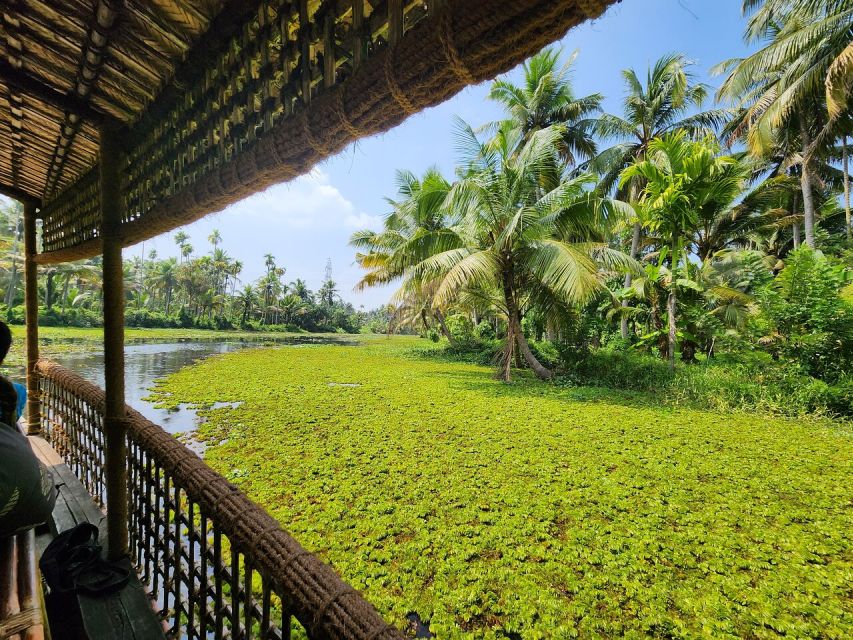 Cochin: Half-Day Backwater Village Eco Boat Cruise W/ Lunch - Authenticity and Value: Why This Tour Works