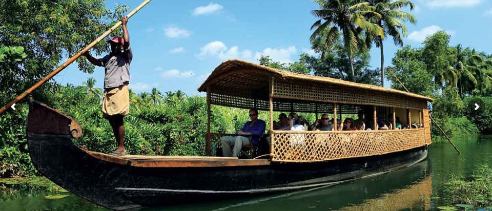 Cochin: Half-Day Backwater Village Eco Boat Cruise W/ Lunch - The Sum Up: Who Will Love This Tour?