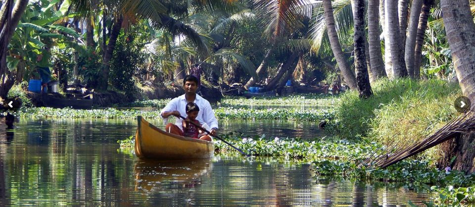 Cochin: Half-Day Backwater Village Eco Boat Cruise W/ Lunch - Frequently Asked Questions