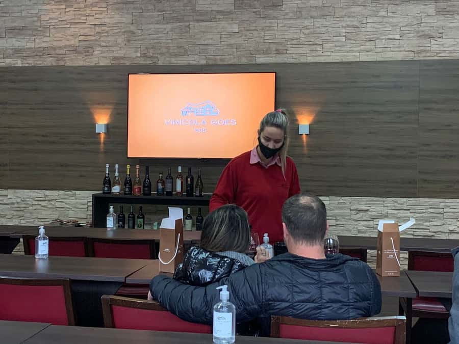 São Paulo: Full-Day Private Wine Tour in São Roque - Exploring São Paulo’s Countryside with a Full-Day Private Wine Tour in São Roque