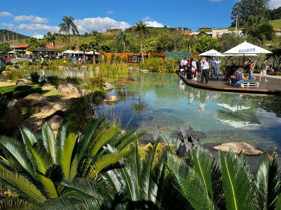 São Paulo: Full-Day Private Wine Tour in São Roque - Frequently Asked Questions