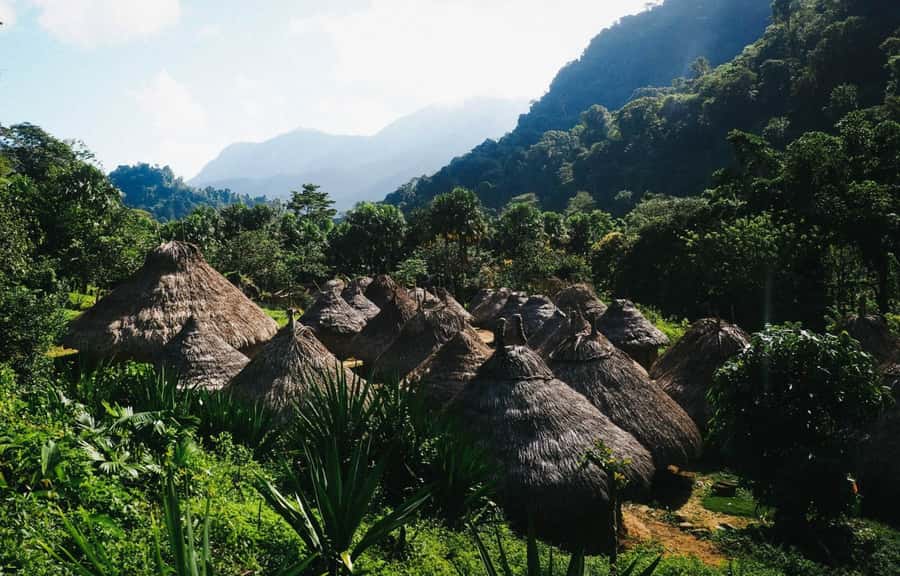 Santa Marta: Multi-Day Trek to The Lost City - FAQ