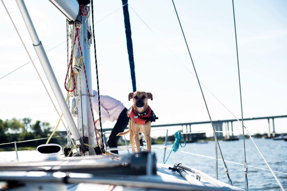 Charleston: Private BYOB Luxury Yacht Cruise - Who Is This Tour Best For?