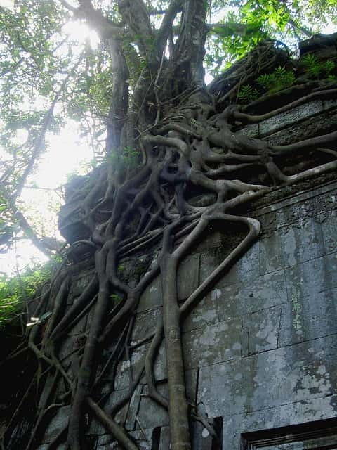 Siem Reap: 8-Hour Forgotten Treasures Motorbike Tour - An In-Depth Look at the Forgotten Treasures Tour