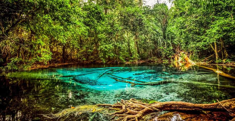 Krabi: Tiger Cave Temple, Emerald Pool and Hot Springs Tour - Final Thoughts