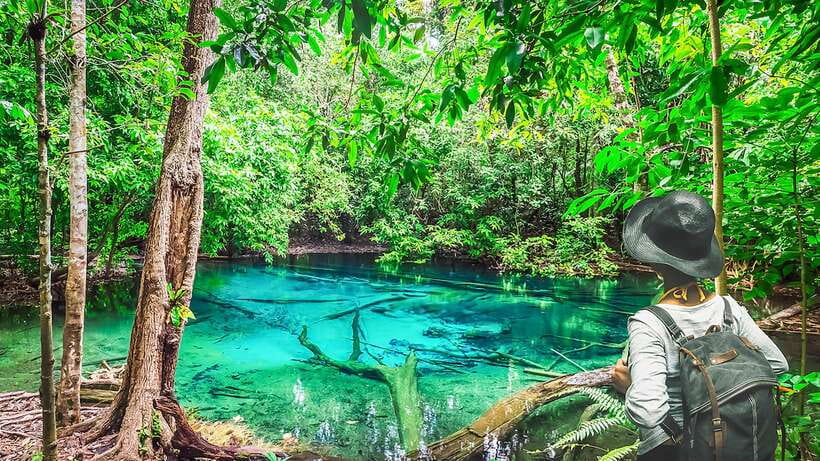 Krabi: Tiger Cave Temple, Emerald Pool and Hot Springs Tour - An In-Depth Look at the Tour Experience