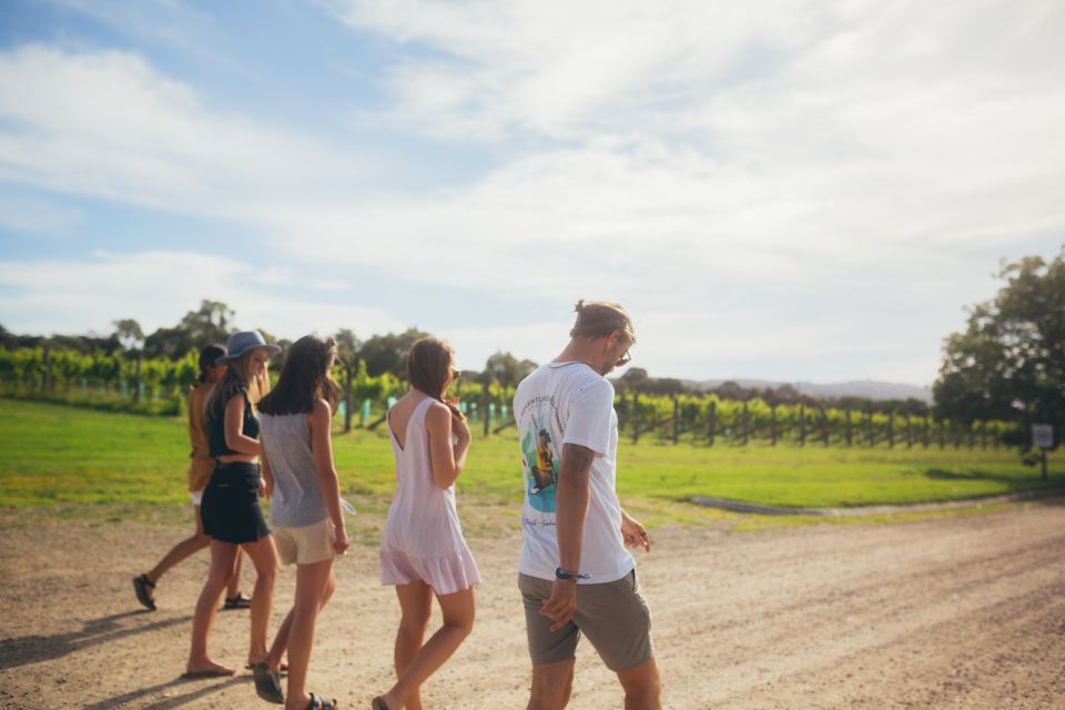 Mornington Peninsula: SUP, Hike, & Hot Springs Trip w/ Lunch - Discovering the Mornington Peninsula