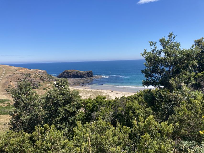 Mornington Peninsula: SUP, Hike, & Hot Springs Trip w/ Lunch - Scenic Drive and Return to McCrae Lighthouse