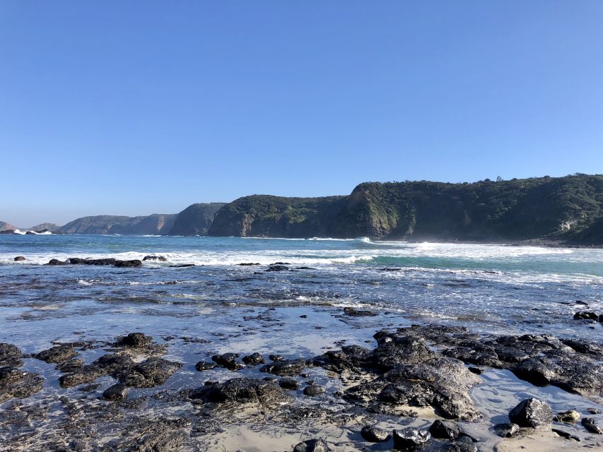 Mornington Peninsula: SUP, Hike, & Hot Springs Trip w/ Lunch - The Value of This Experience