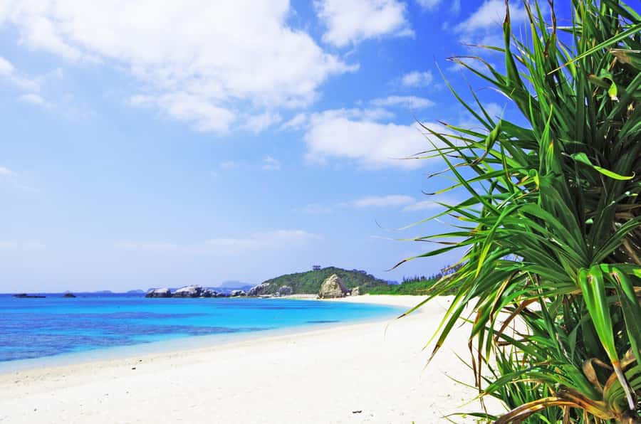 Naha: Tokashiki Day Trip & Kerama Islands Scuba Diving Trip - FAQs