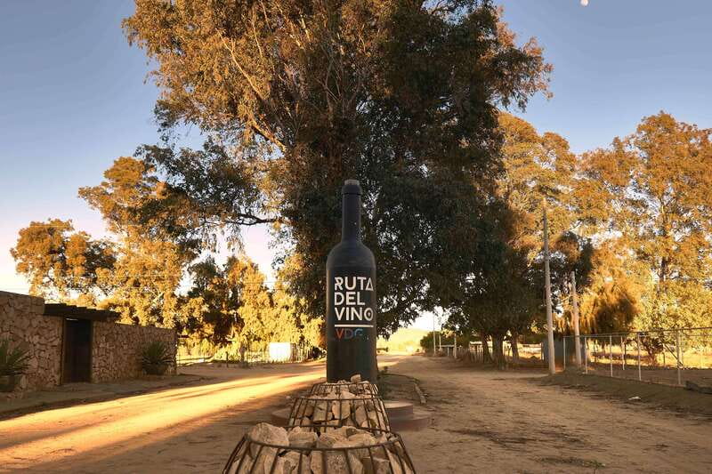 From Tijuana: Valle de Guadalupe Private Winery Tour - The Sum Up