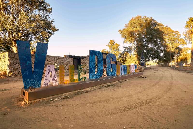 From Tijuana: Valle de Guadalupe Private Winery Tour - The Practicalities
