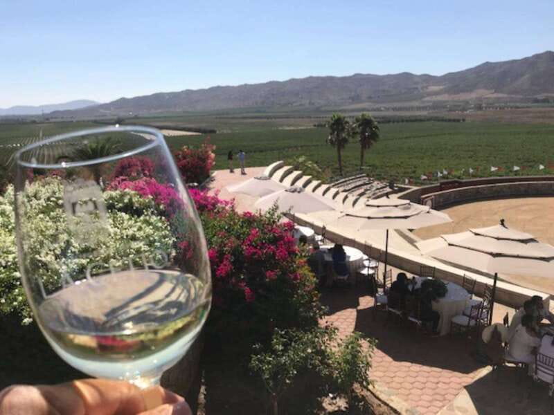 From Tijuana: Valle de Guadalupe Private Winery Tour - Key Points