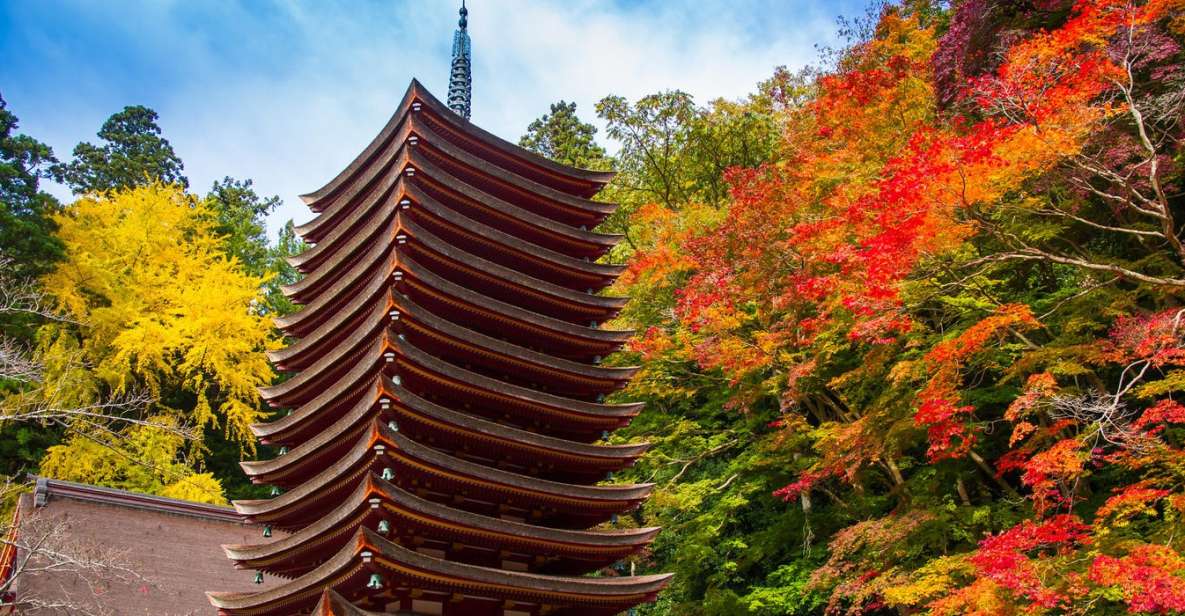 Nara: Private Tour with Private Guide - Key Points