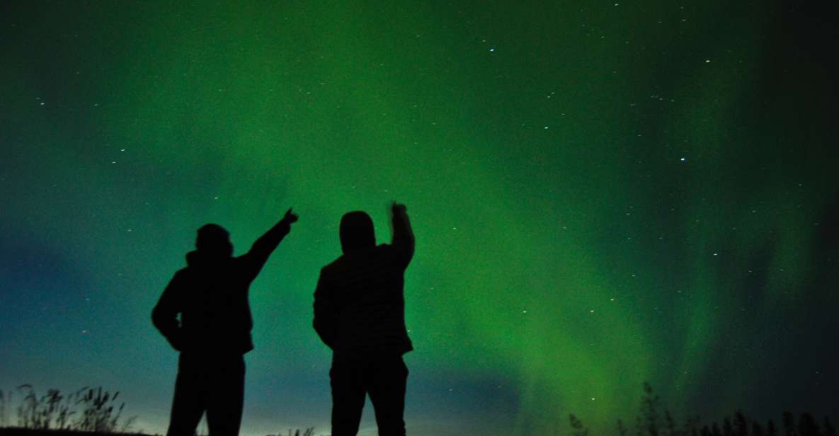 From Reykjavík: Northern Lights Tour with Hot Cocoa & Photos - Practical Details and Tips