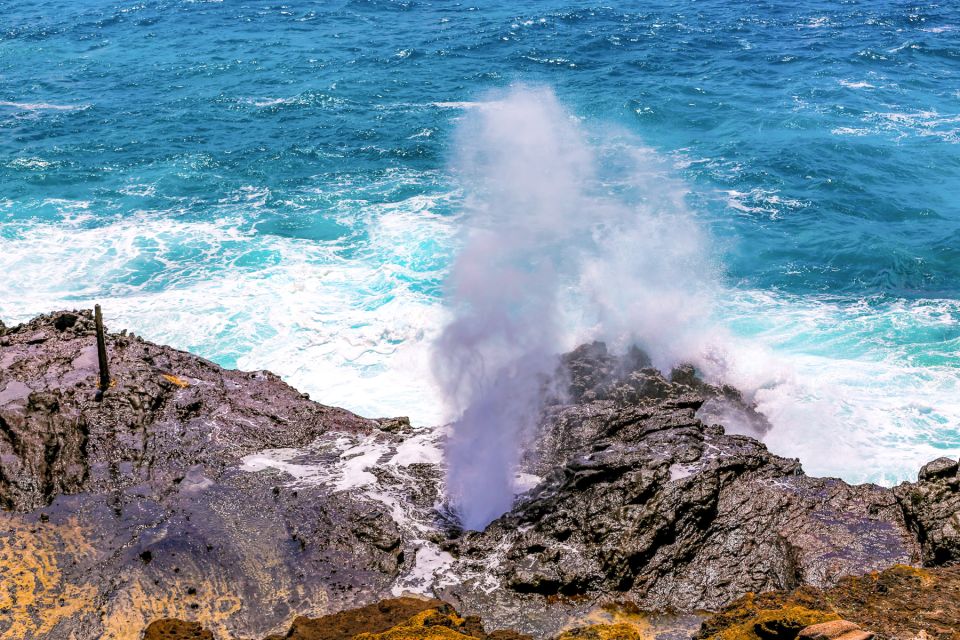 Honolulu: Oahu Sights and Bites Island Tour - The Practical Side of the Tour