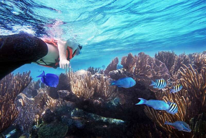 From Cancun: Garrafon Reef Park Admission with Ferry Tickets - From Cancun: Garrafon Reef Park Admission with Ferry Tickets