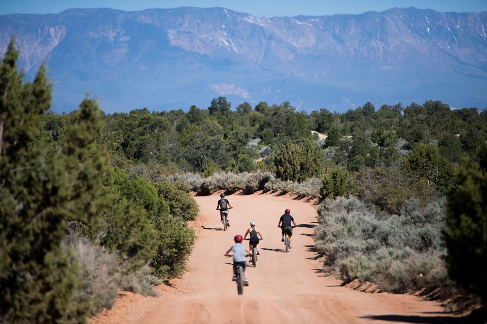 Springdale: Half-Day Mountain Biking Adventure - Key Points