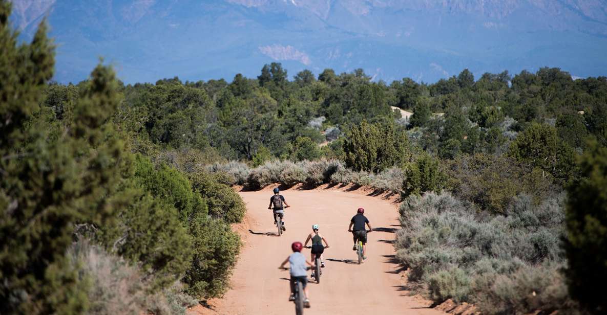 Springdale: Half-Day Mountain Biking Adventure - An In-Depth Look at the Mountain Biking Adventure