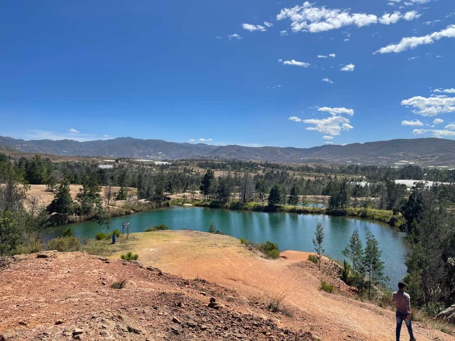 Bogotá: Villa de Leyva Full-Day Tour with Meals - A Deep Dive into the Villa de Leyva Full-Day Tour