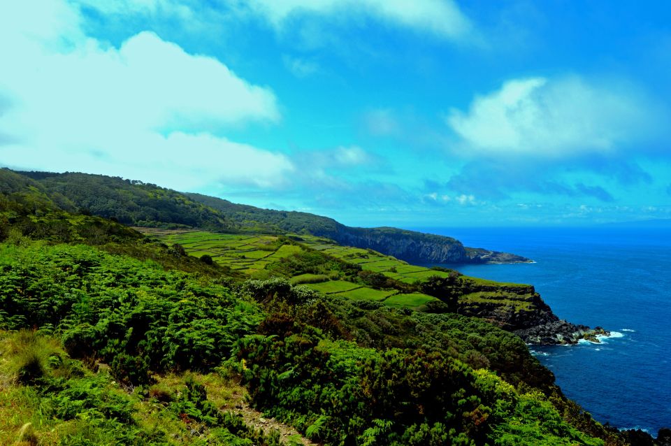 Terceira: Half-Day Island Tour with Cheese Tasting - Exploring Terceira’s Hidden Charms: A Balanced Look at the Half-Day Tour