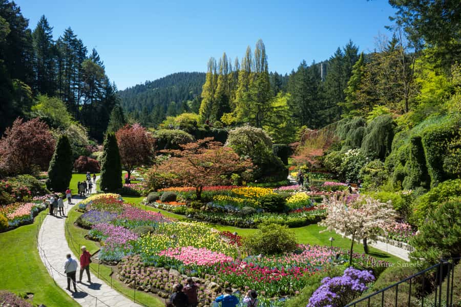 From Vancouver: Butchart Gardens & Victoria Sightseeing Tour - Key Points
