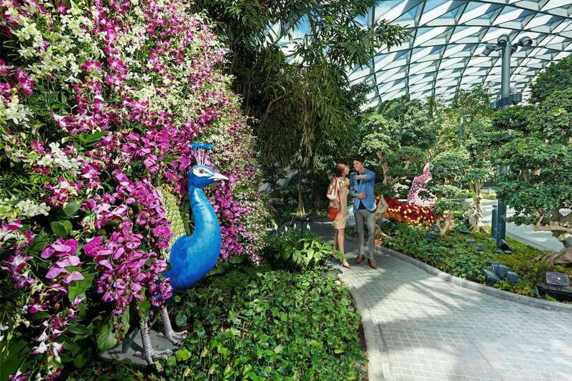 Jewel Changi Airport: Sky Nets Admission Ticket - Final Thoughts