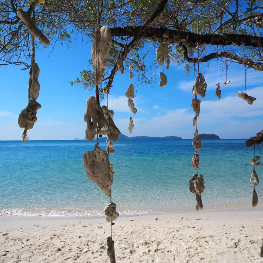 Koh Chang: Full-Day Private Day Trip - Final Thoughts