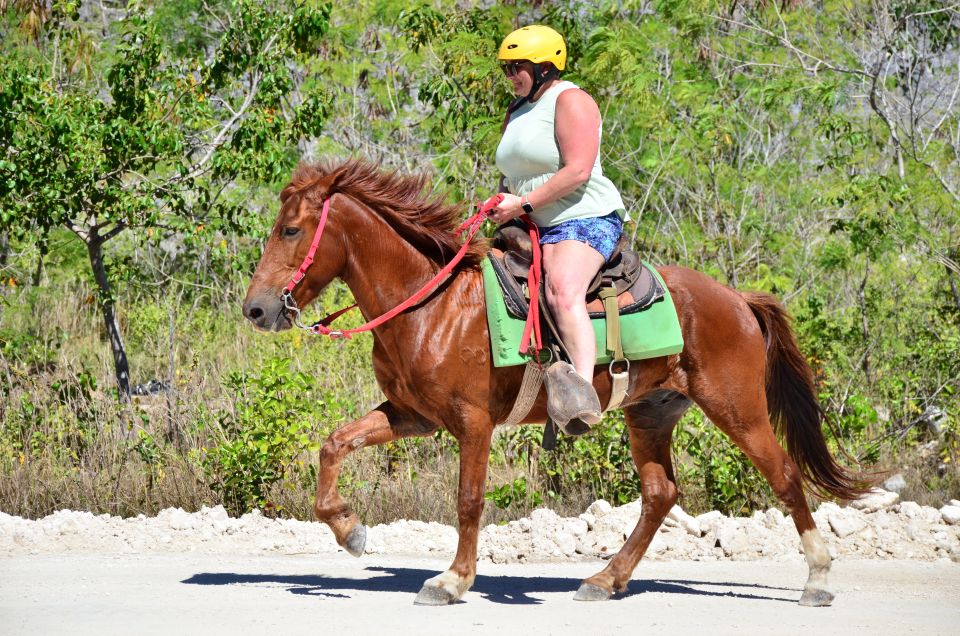 Punta Cana: Bávaro Adventure Park Horse Riding & Waterfalls - Who Will Love This Tour?