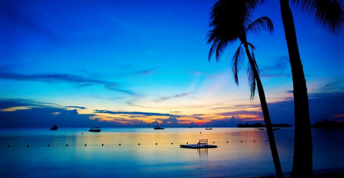 Negril 7-Hour Tour from Montego Bay - Authentic Experiences and Practical Details