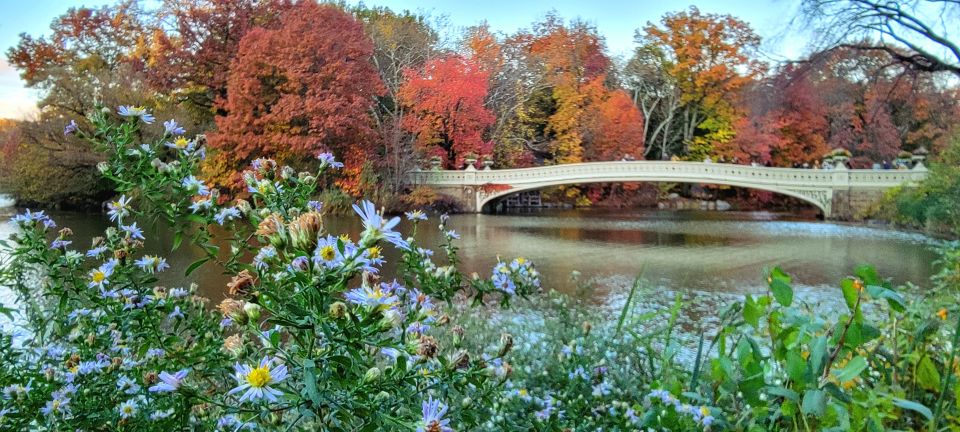 NYC: Central Park Secrets and Highlights Walking Tour - The Starting Point and What to Expect