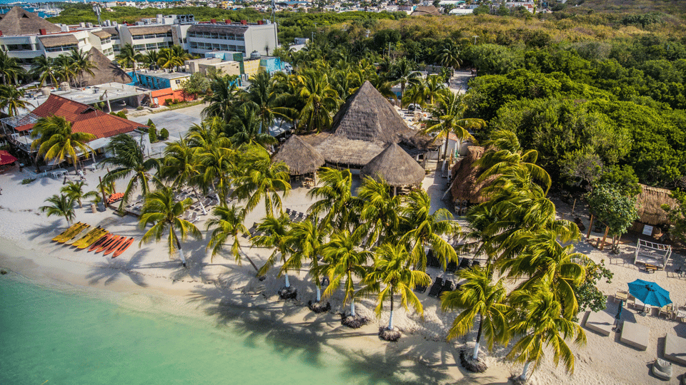 Cancún: Swim with Whale Sharks & Playa Norte Beach - Good To Know