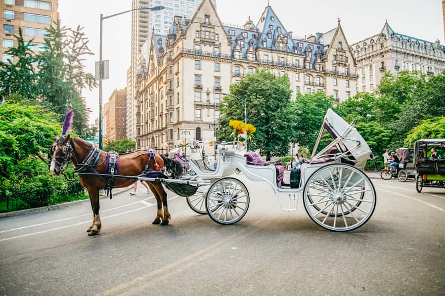 NYC: Guided Central Park Horse Carriage Ride - Final Thoughts on the Experience