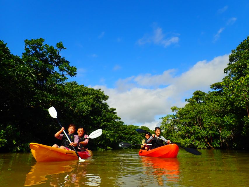 Ishigaki Island: 2-Hour Miyara River SUP or Canoeing Tour - A Detailed Look at the Miyara River SUP and Canoeing Experience