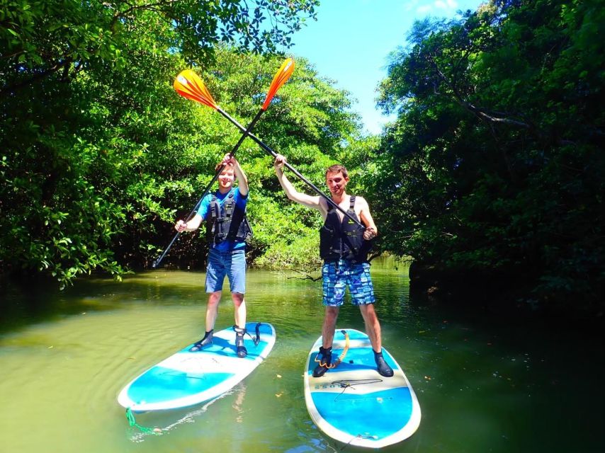 Ishigaki Island: 2-Hour Miyara River SUP or Canoeing Tour - Frequently Asked Questions