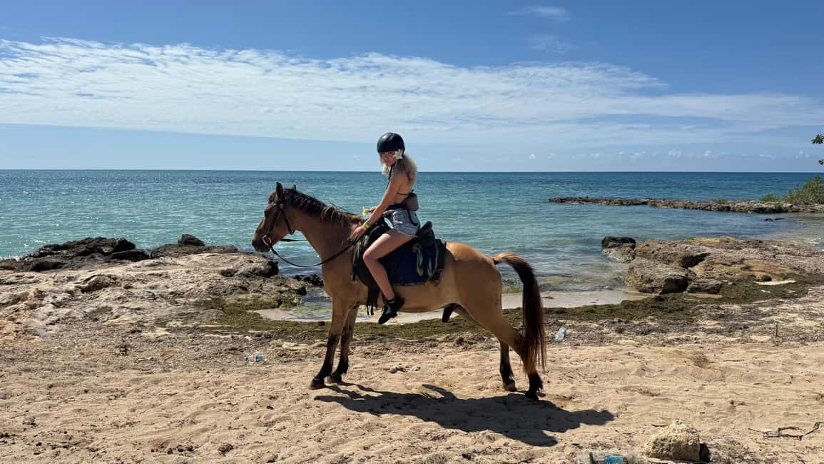 Jamaica: Horseback Riding and Sunset Catamaran Cruise - Introduction: A Day of Jamaican Sunshine and Adventure