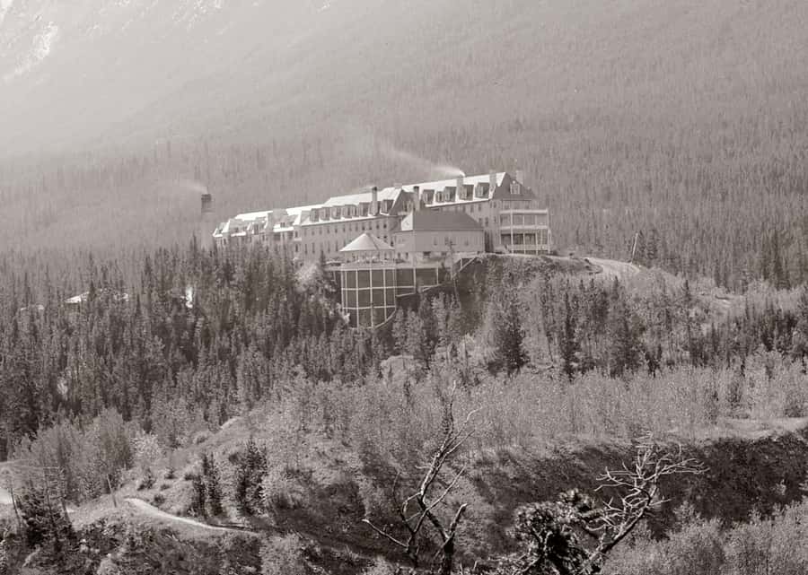 Banff GHOST TOWN History Walking Tour + Transportation - Final Thoughts: Who Will Love This Tour?