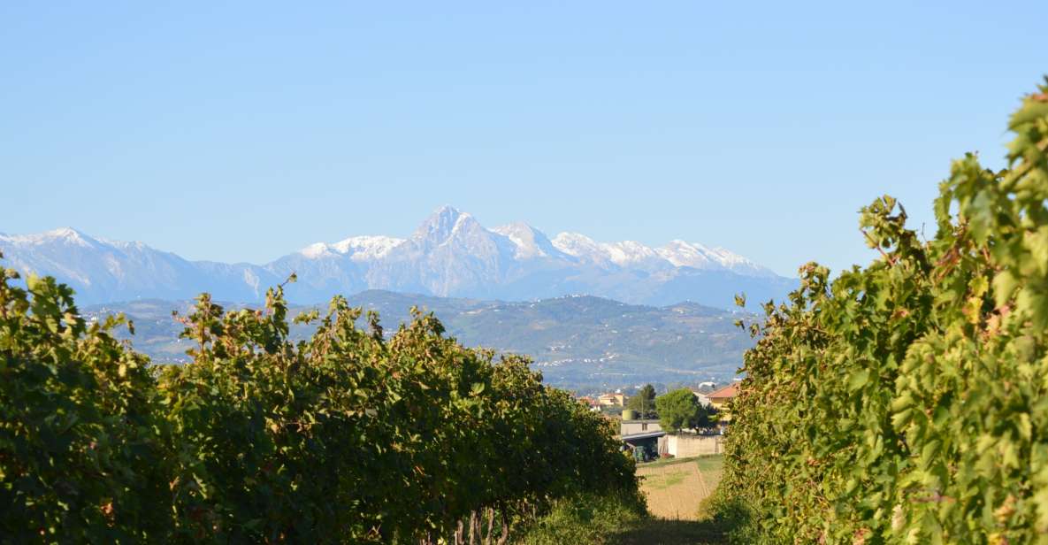 Abruzzo: Historic Cellar Wine Tour and Tasting - A Closer Look at the Tour Experience