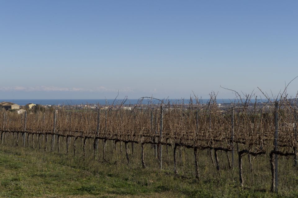 Abruzzo: Historic Cellar Wine Tour and Tasting - What We Love