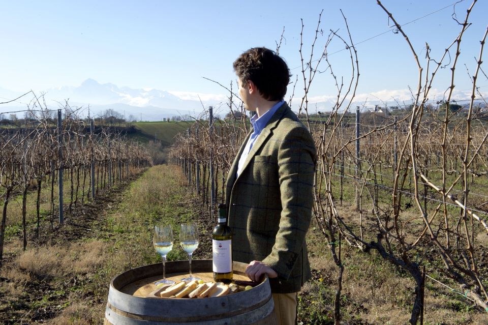 Abruzzo: Historic Cellar Wine Tour and Tasting - Exploring Abruzzo’s Historic Cellar Wine Tour and Tasting