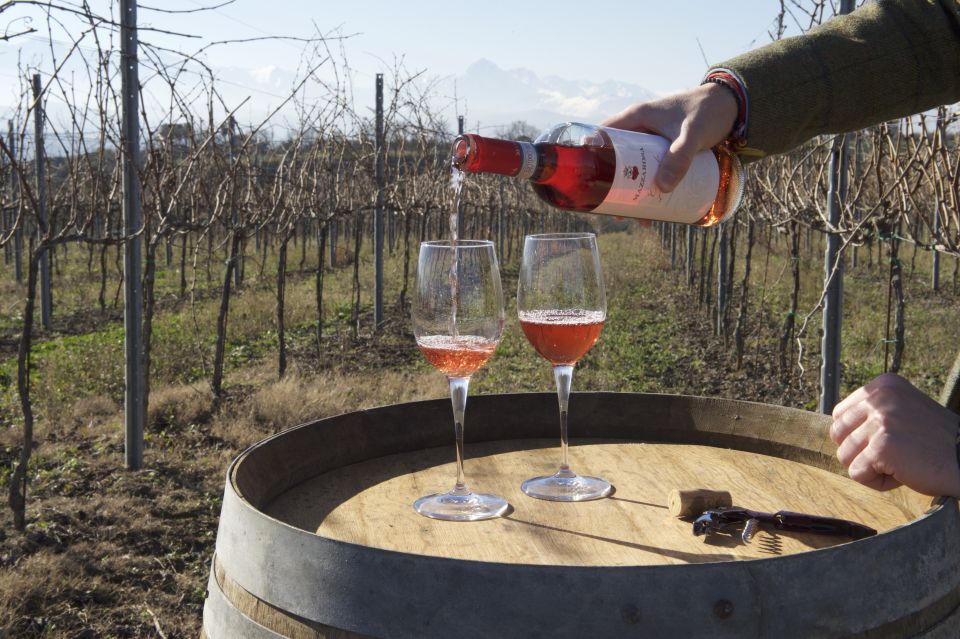 Abruzzo: Historic Cellar Wine Tour and Tasting - Final Thoughts