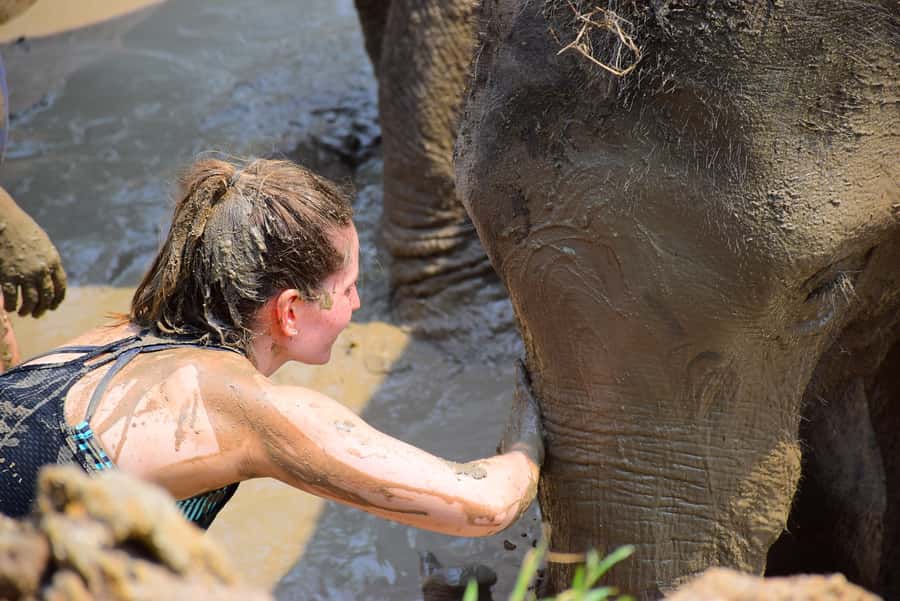 From Phuket: Elephant Sanctuary Tour with Lunch & Pickup - Who Should Consider This Tour?