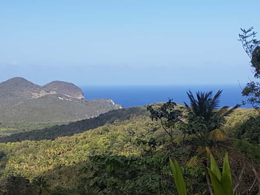 St Lucia: Gros Piton 4-Hour Guided Hike - What Travelers Say: Authentic Feedback