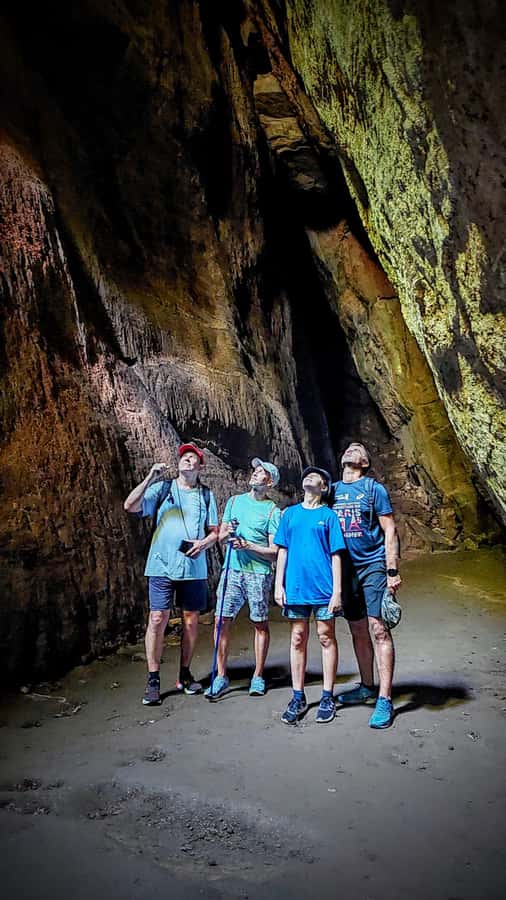 Tijuca Forest: Adventure & History Half-Day Hike - The Hike: What to Expect