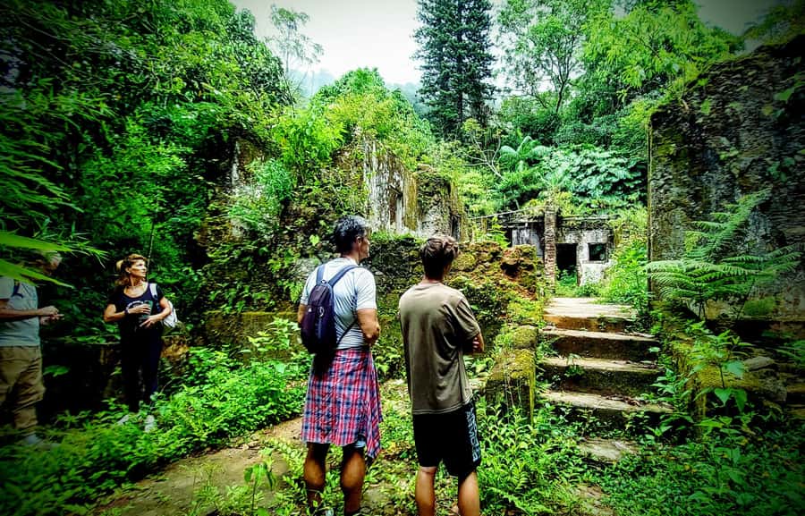 Tijuca Forest: Adventure & History Half-Day Hike - Logistics and Practicalities