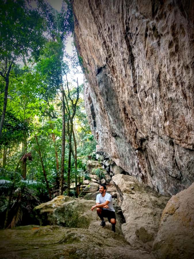 Tijuca Forest: Adventure & History Half-Day Hike - Price and Value