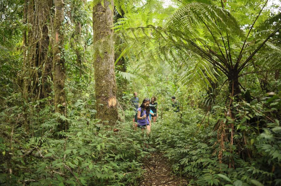 Ubud: Bayad Village, Waterfall and Cave Trek Adventure - Exploring Bali’s Hidden Natural Treasures: Bayad Village, Waterfall, and Cave Trek Adventure